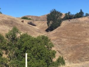 Bubba Goes to Cali 2021